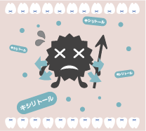 キシリトールの働き説明２