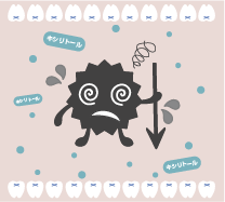 キシリトールの働き説明３